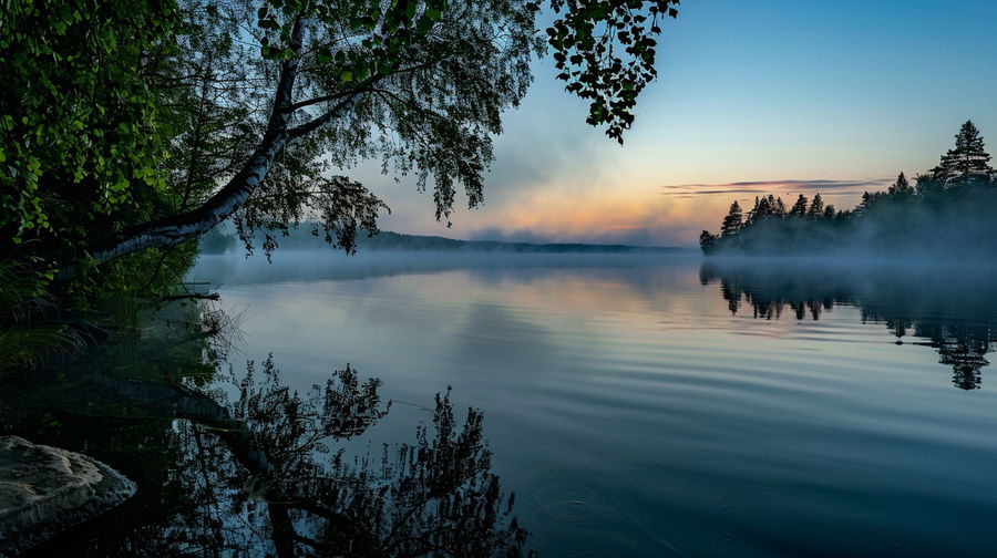 Foggy morning over a calm lake with soft light and distant tree silhouettes reflecting on the still water.