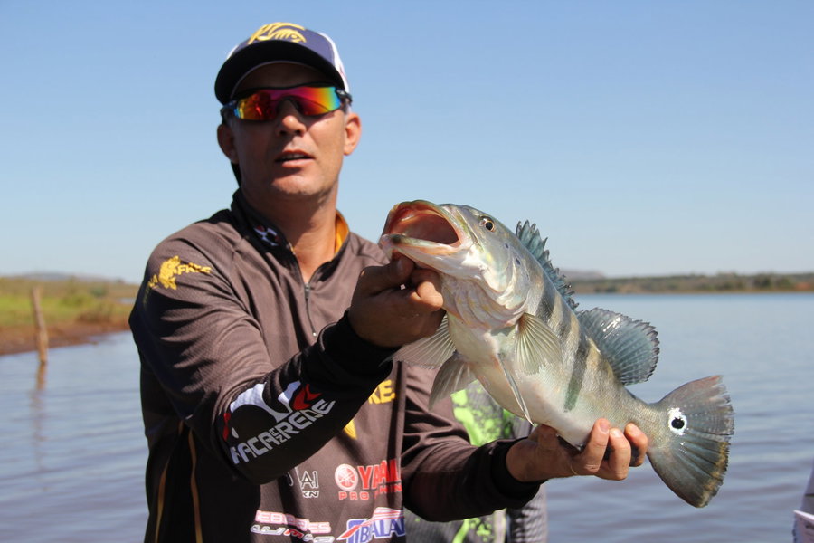 Angler proudly holding a large bass fish by the water's edge.