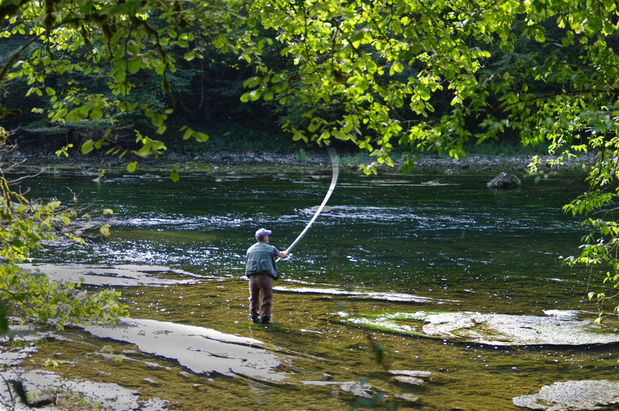 Fisherman casting a line into a serene river surrounded by greenery.