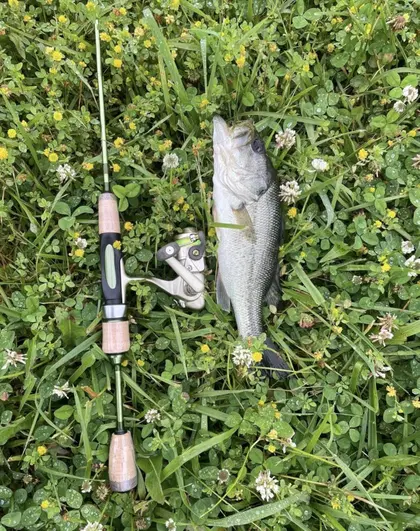 Ultralight Trout Spinning Rods