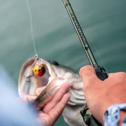 Sensitive Graphite Trout Rods