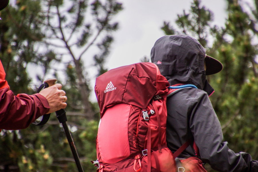 Hikers with a red backpack and trekking pole in a forest setting.