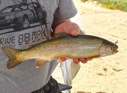Travel Fishing Rod Combos