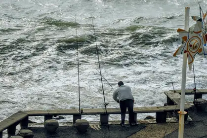 Choosing the Right Fishing Rod: Length, Power, Action Guide