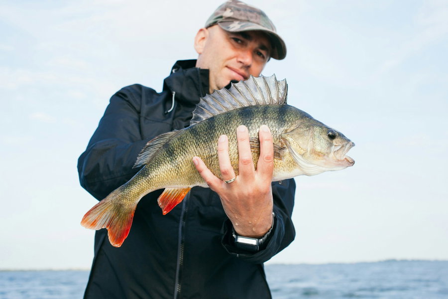 Angler proudly holding a large fish against a clear sky.