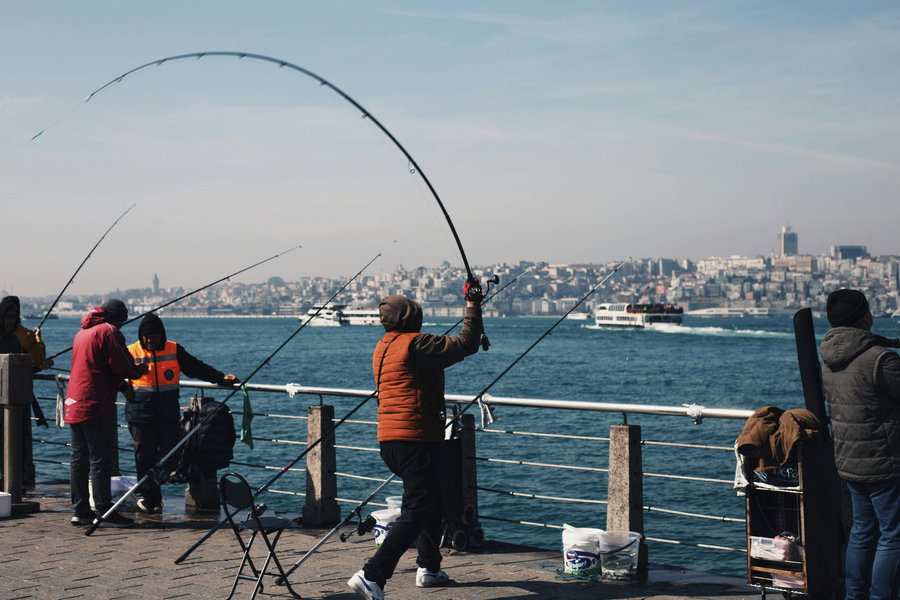 Fishermen casting lines from a pier with a city skyline in the background.