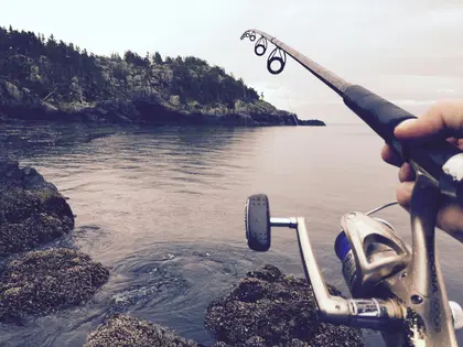 Spinning Reel Gear Ratio Explained: 5.6:1 vs 6.2:1 vs 7.0:1