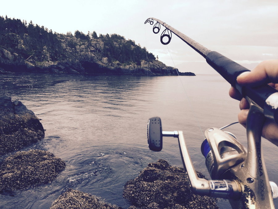Fishing rod held over rocky shoreline with calm water and distant trees.