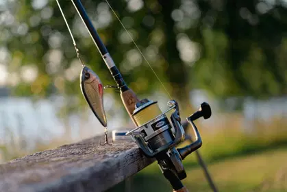 High-Speed 7.0:1 Spinning Reels