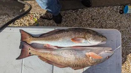 Spinning Reel Sizes Explained (1000–10000): A Simple Size Chart