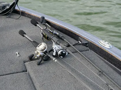 Spinning vs Baitcasting Reels: Which Should You Choose?