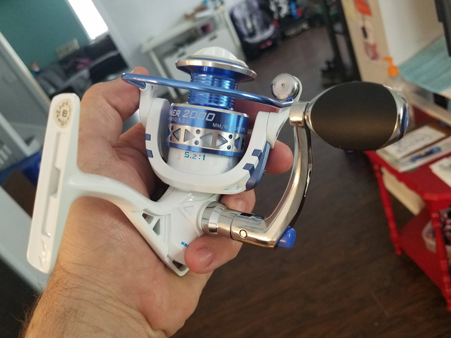 Budget fishing reel held in hand, featuring a blue and white design.