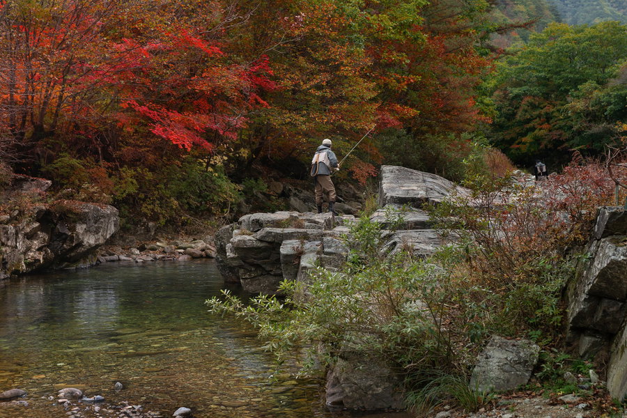 Fisherman casting a line from rocky riverbank surrounded by autumn foliage.