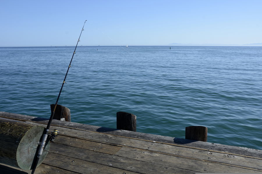 Fishing rod resting on a wooden pier overlooking calm open water on a clear day.