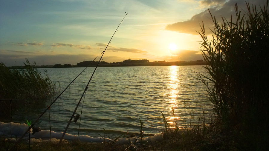 Fishing rods positioned near the water at sunset, waiting for subtle rod tip movement that signals a bite.